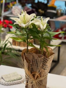 540667638_17887208847347685_8065745103641165857_n