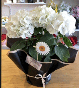 Ekran Resmi 2025-09-25 18.03.27